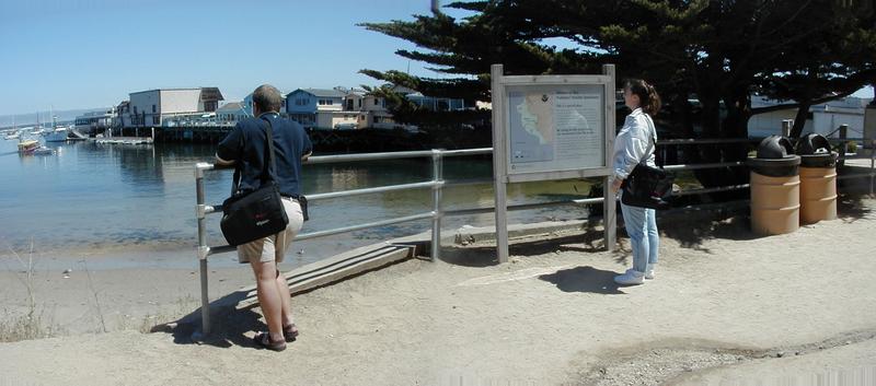 Ren-and-Marci-looking-over-Bay.jpg