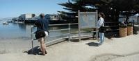 Ren-and-Marci-looking-over-Bay.jpg