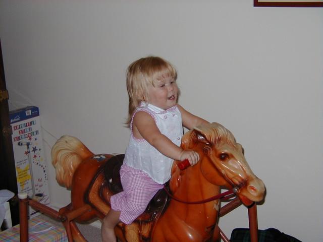 RockingHorse1.JPG