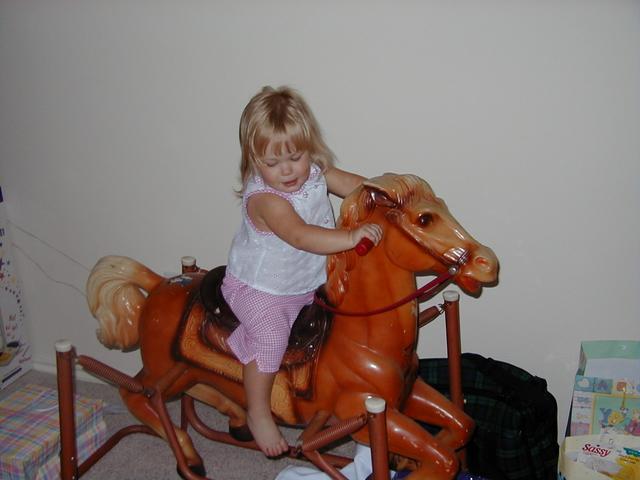RockingHorse2.JPG