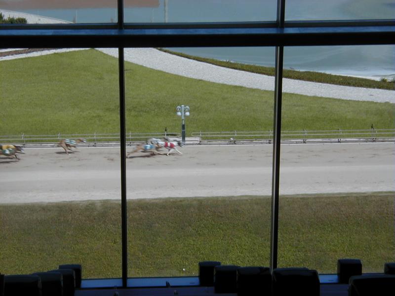 Photo_finish.jpg