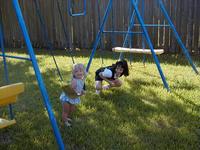 SwingSet-03.JPG