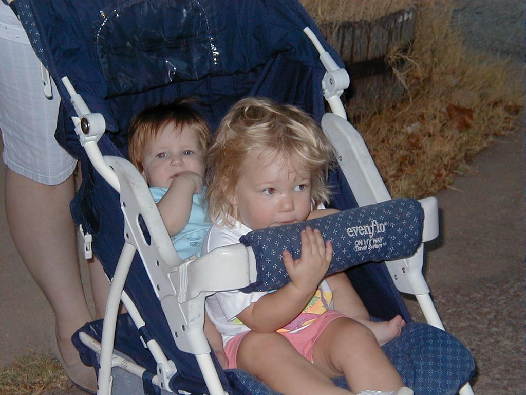 camera/1999/10(October)/10_03_At_the_park/1024x768_Sisters_in_stroller-2.JPG