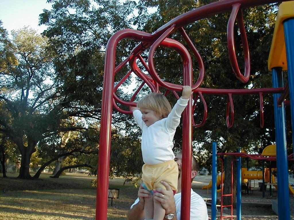 camera/1999/10(October)/10_23_At_the_park/1024x768_Monkey_bars-5.JPG