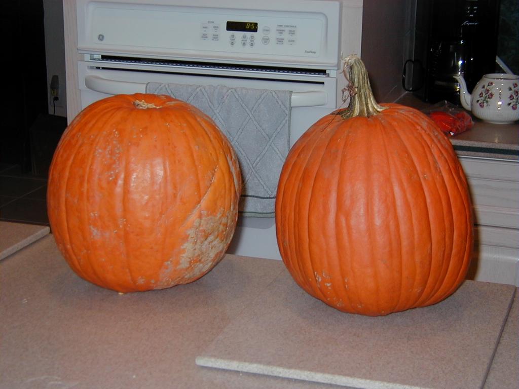camera/1999/10(October)/10_24_Pumpkin_Carving/1024x768_PA240004.JPG