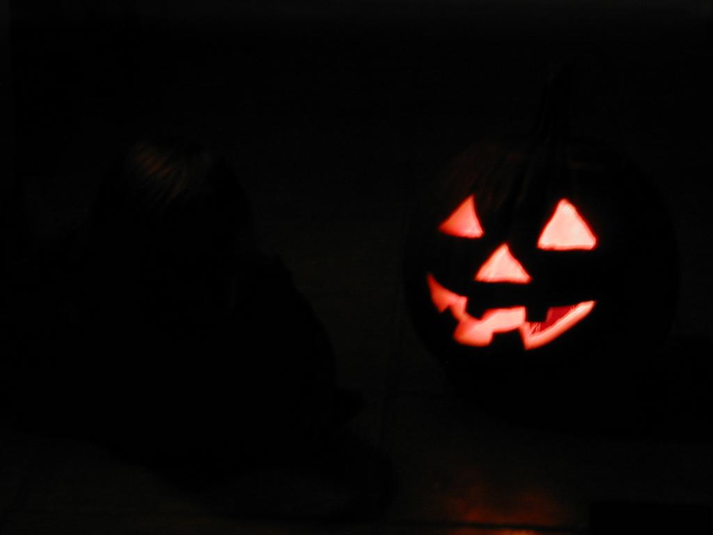 camera/1999/10(October)/10_24_Pumpkin_Carving/1024x768_PA240026.JPG