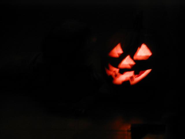 camera/1999/10(October)/10_24_Pumpkin_Carving/640x480_PA240024.JPG
