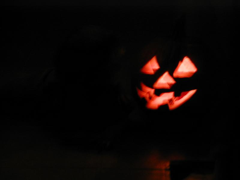 camera/1999/10(October)/10_24_Pumpkin_Carving/800x600_PA240024.JPG