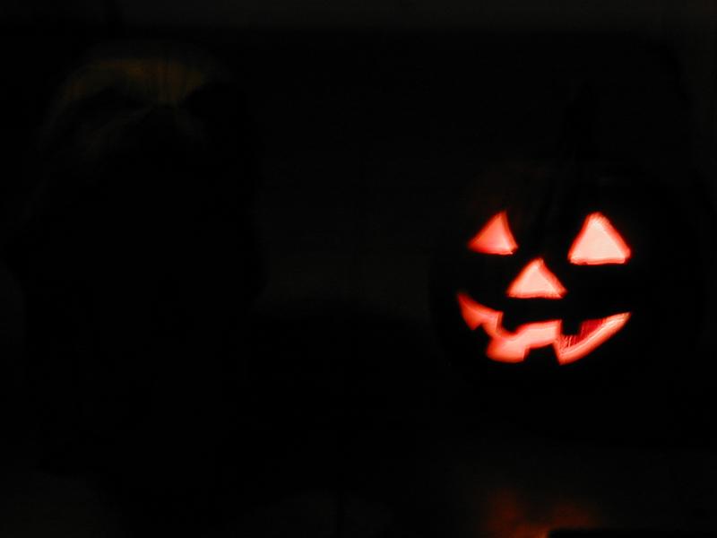 camera/1999/10(October)/10_24_Pumpkin_Carving/800x600_PA240025.JPG