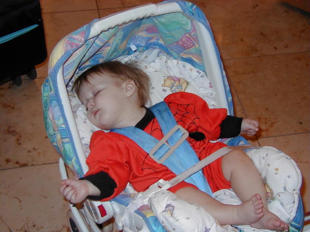 McKenzie_spider_sleeping.JPG