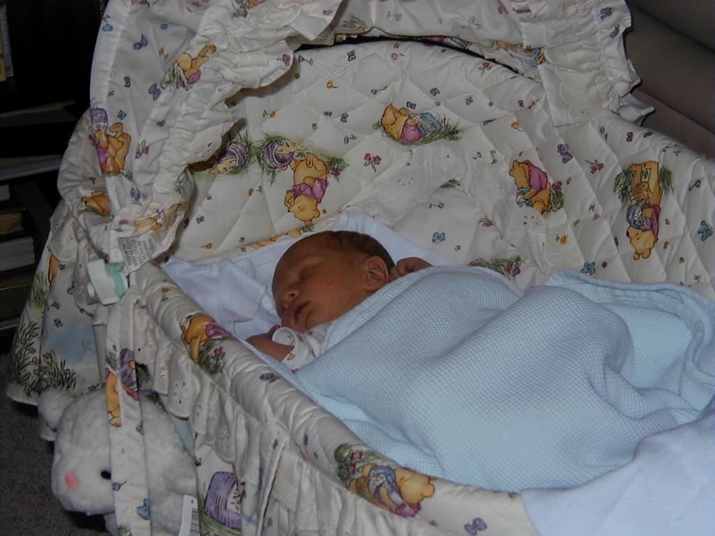 Chance_sleeping.JPG