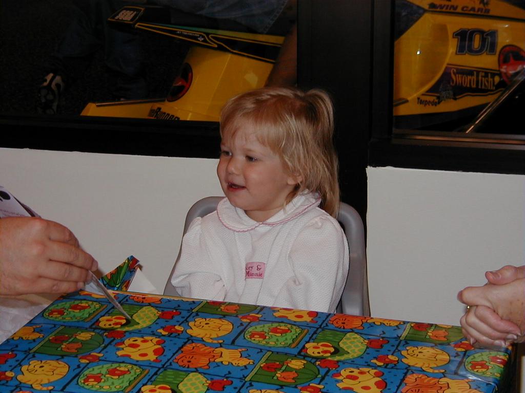 camera/1999/11(November)/11_21_Brittney's_2nd_Birthday_Party/1024x768_031.jpg