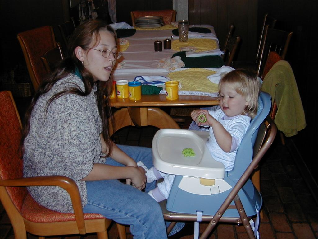 camera/1999/11(November)/11_25-11_26_Thanksgiving/1024x768_PB250009.JPG