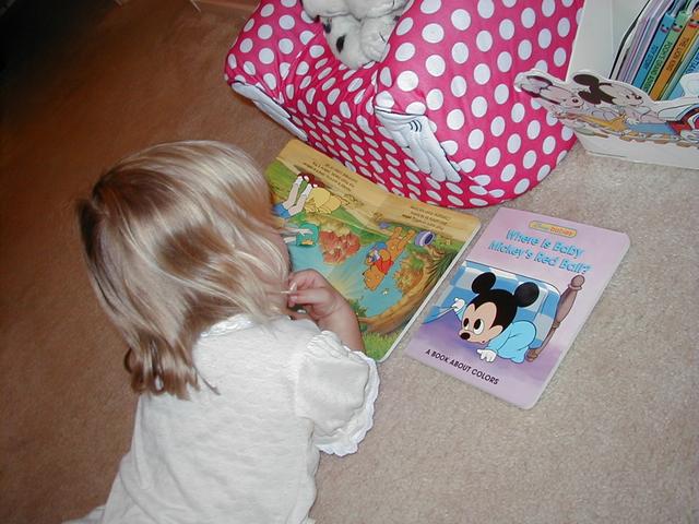 camera/1999/11(November)/Miscellaneous/640x480_PB130016.JPG