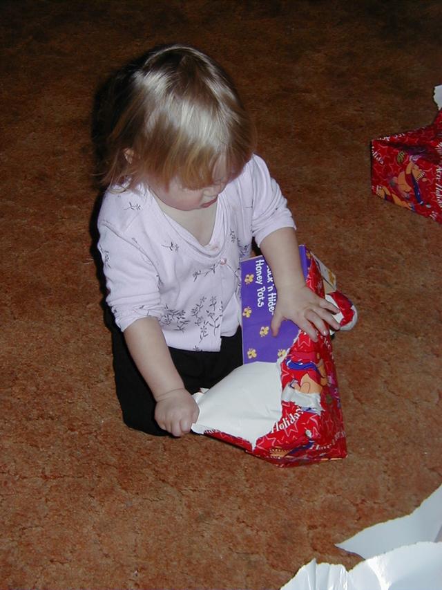 camera/1999/12(December)/12_25_Davis_Christmas/640x480_DavisXmas-12.JPG