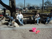 camera/2000/02(February)/02_05_Zilker_Park/P2050006.JPG