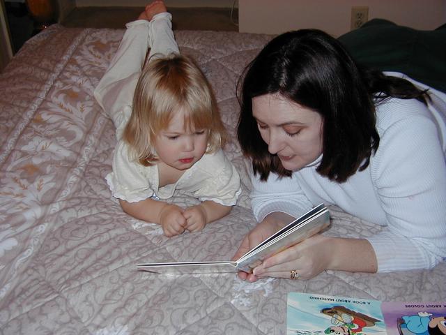 camera/2000/02(February)/Miscellaneous/640x480_P2040004.JPG
