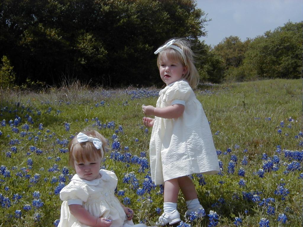 camera/2000/03(March)/03_26_Bluebonnets/1024x768_Bluebonnets-01.JPG