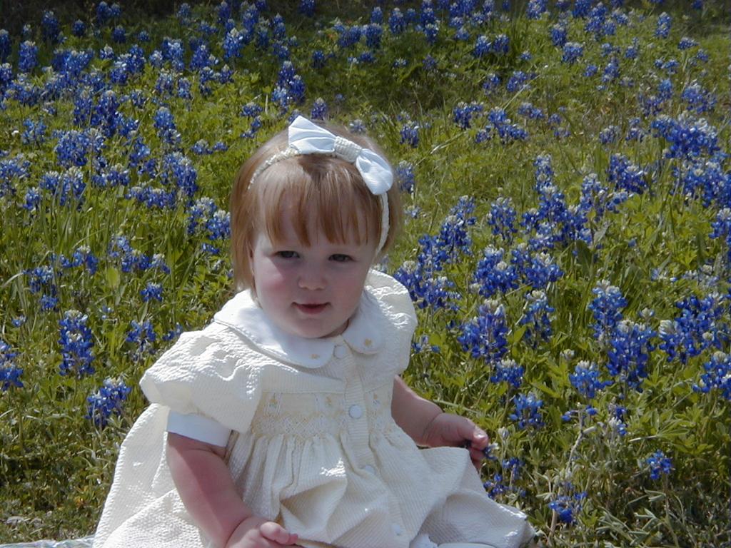 camera/2000/03(March)/03_26_Bluebonnets/1024x768_Bluebonnets-03.JPG