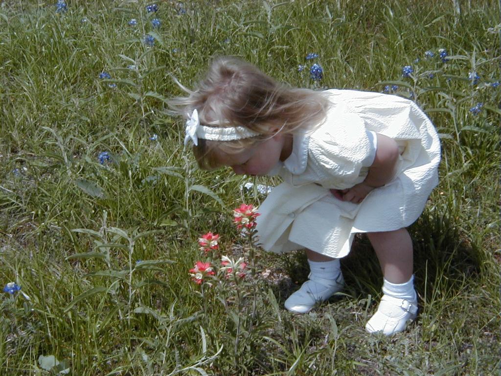 camera/2000/03(March)/03_26_Bluebonnets/1024x768_Bluebonnets-04.JPG
