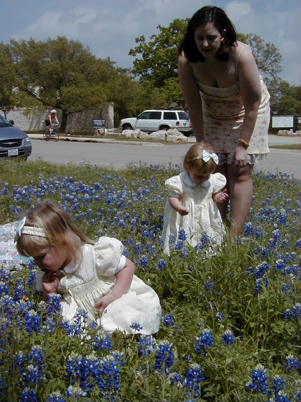 camera/2000/03(March)/03_26_Bluebonnets/1024x768_Bluebonnets-12.JPG