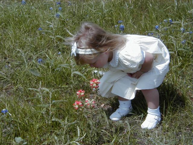 camera/2000/03(March)/03_26_Bluebonnets/640x480_Bluebonnets-04.JPG