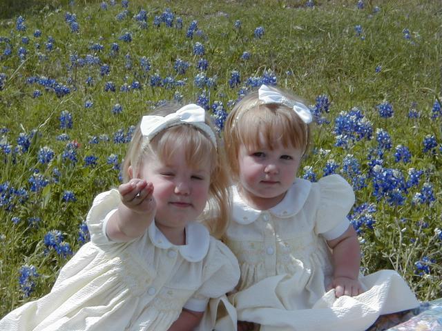 Bluebonnets-06.JPG