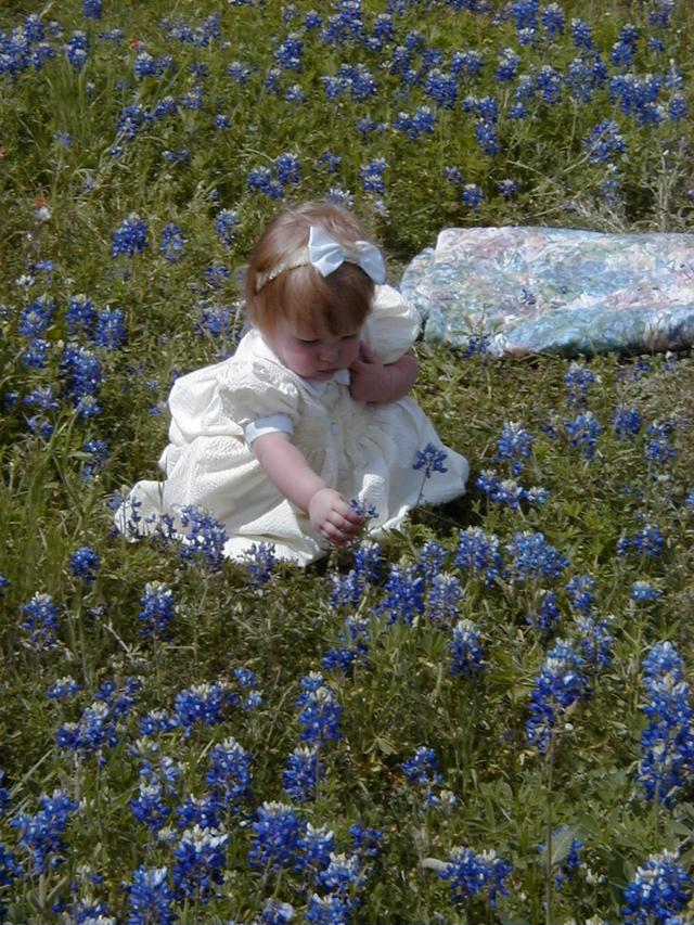 Bluebonnets-08.JPG