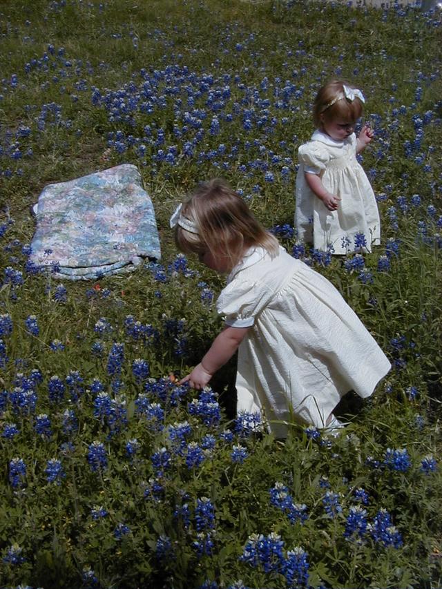 Bluebonnets-10.JPG