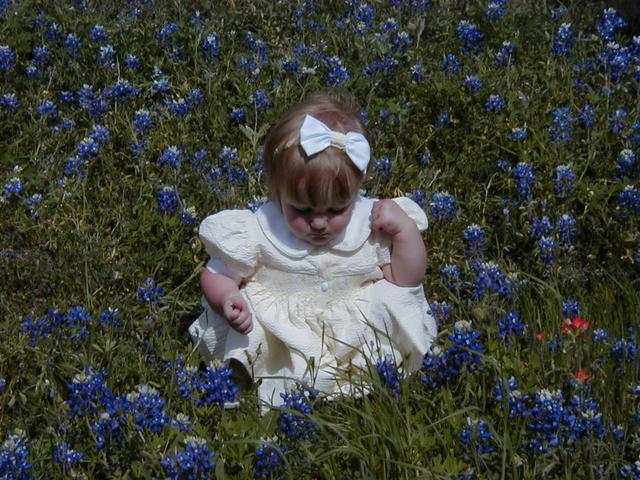 Bluebonnets-14.JPG