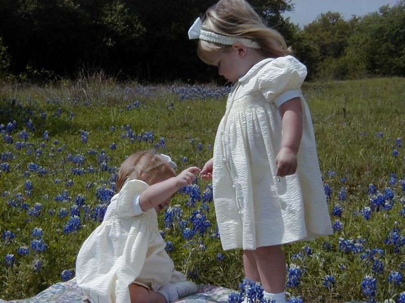 Bluebonnets-02.JPG