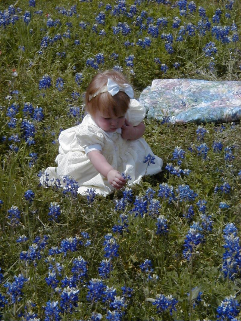 camera/2000/03(March)/03_26_Bluebonnets/800x600_Bluebonnets-08.JPG