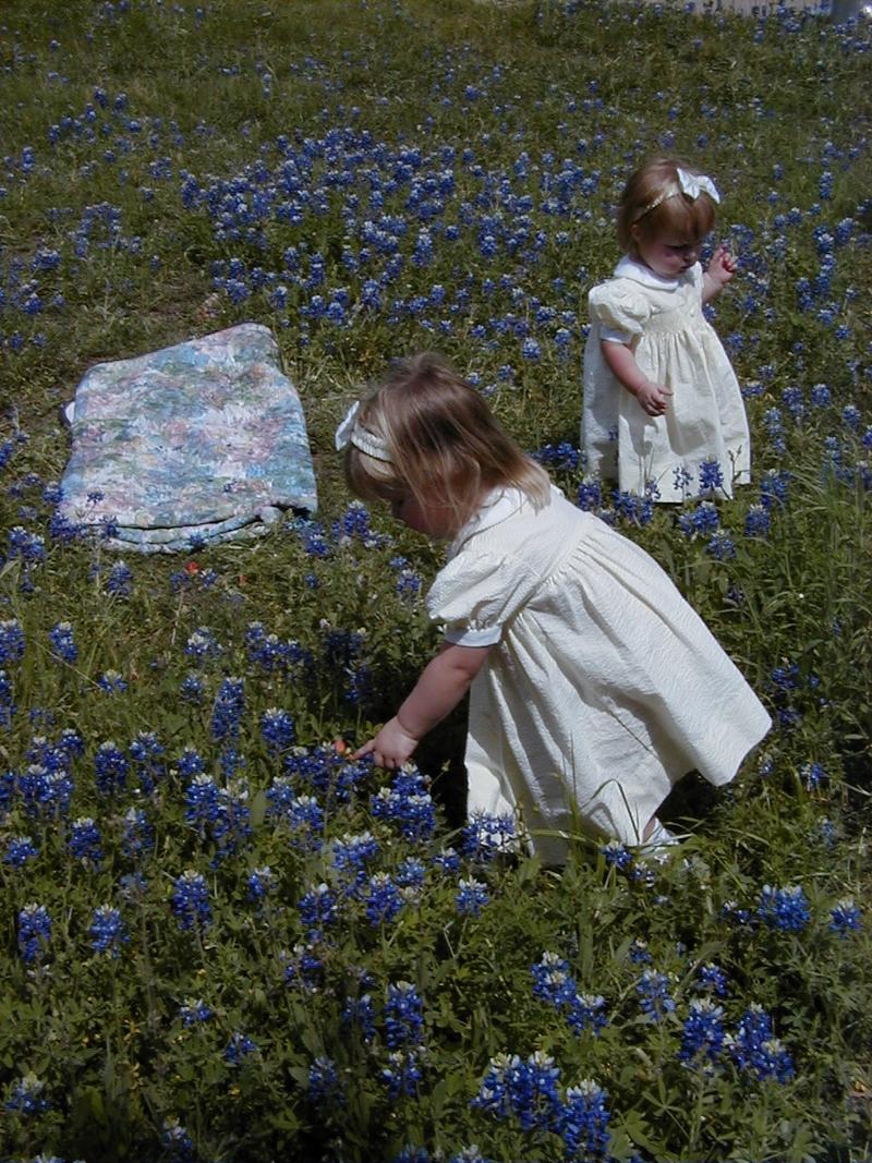 camera/2000/03(March)/03_26_Bluebonnets/800x600_Bluebonnets-10.JPG