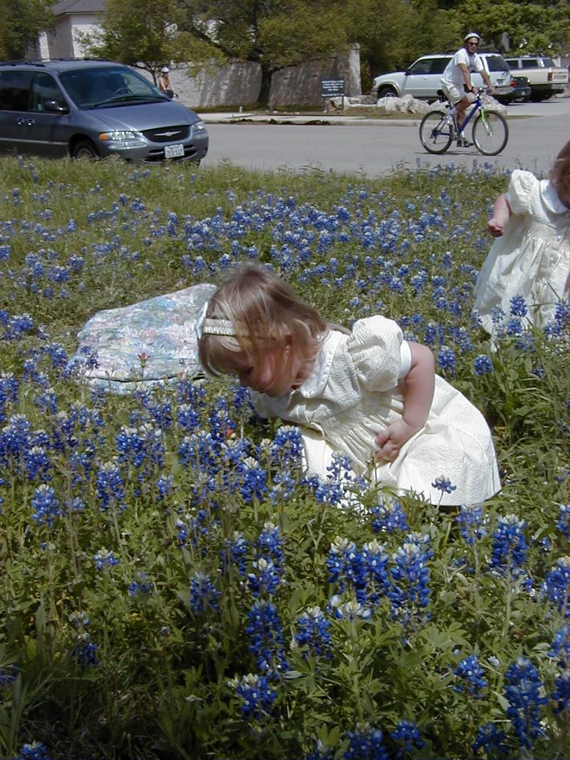 camera/2000/03(March)/03_26_Bluebonnets/800x600_Bluebonnets-11.JPG