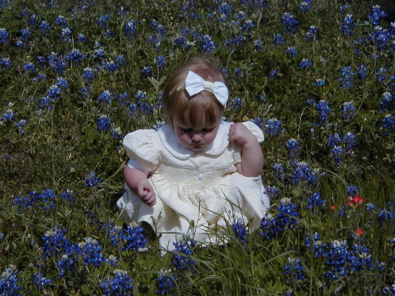 camera/2000/03(March)/03_26_Bluebonnets/800x600_Bluebonnets-14.JPG
