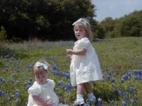 camera/2000/03(March)/03_26_Bluebonnets/Bluebonnets-01.JPG