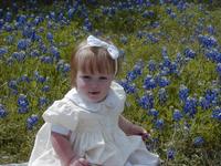 Bluebonnets-03.JPG