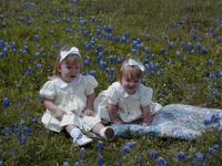 Bluebonnets-05.JPG