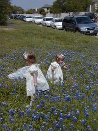 Bluebonnets-09.JPG