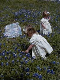 Bluebonnets-10.JPG