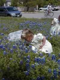 Bluebonnets-11.JPG