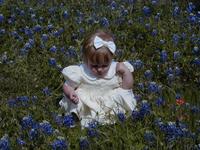 Bluebonnets-14.JPG
