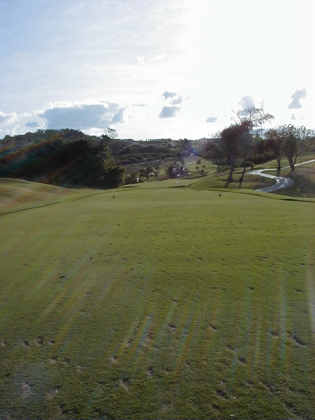 P3020012.JPG