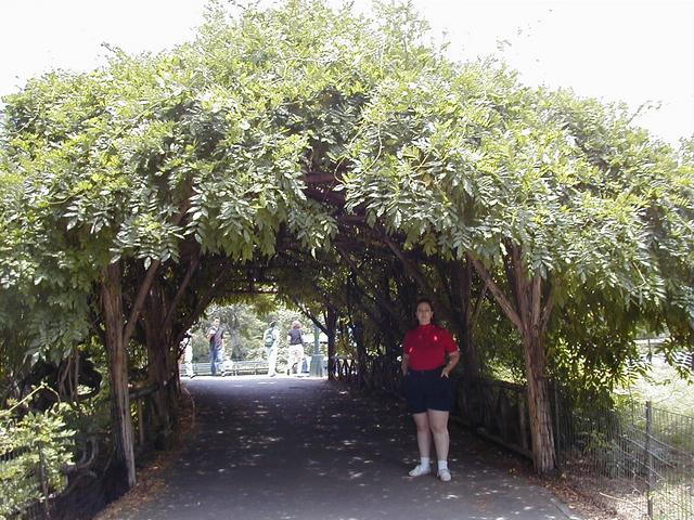 CentralPark-1.JPG