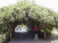 CentralPark-1.JPG