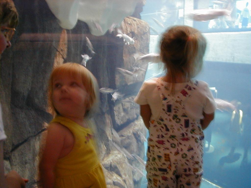 Aquarium-8.JPG