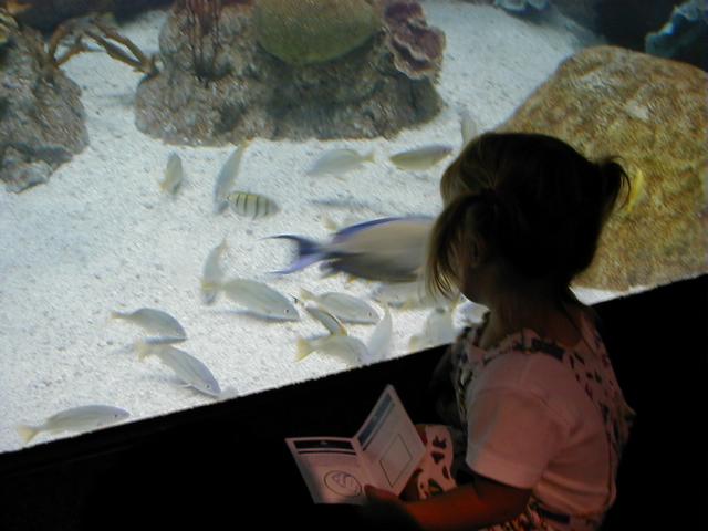 Aquarium-3.JPG