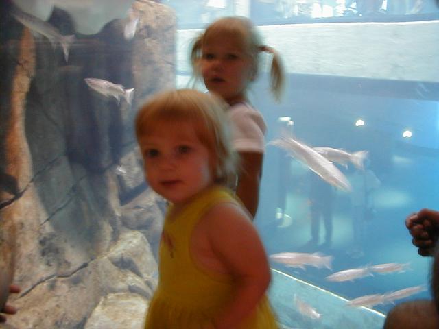 Aquarium-9.JPG