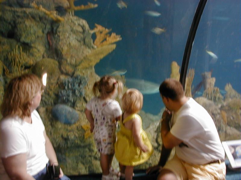 Aquarium-7.JPG