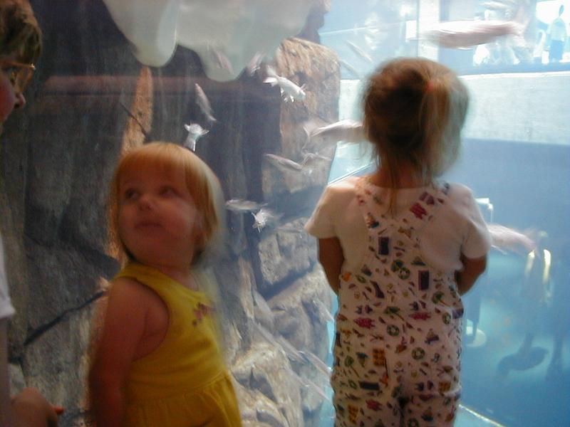 Aquarium-8.JPG